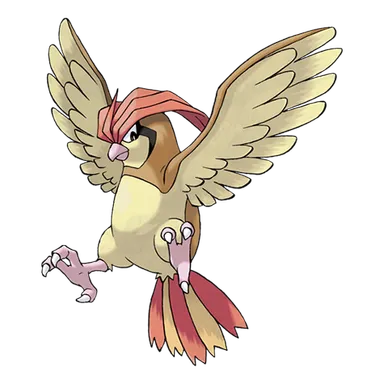 official artwork of pidgeotto